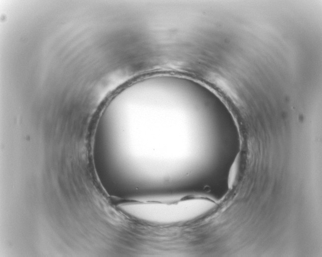 X0000088911308200706221919