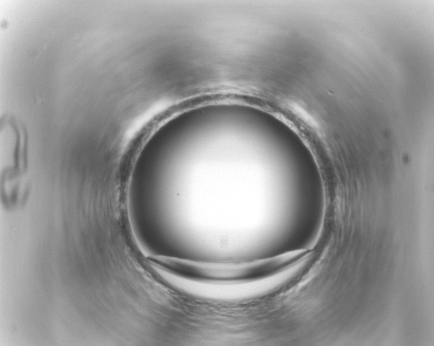 X0000088911310200706221919