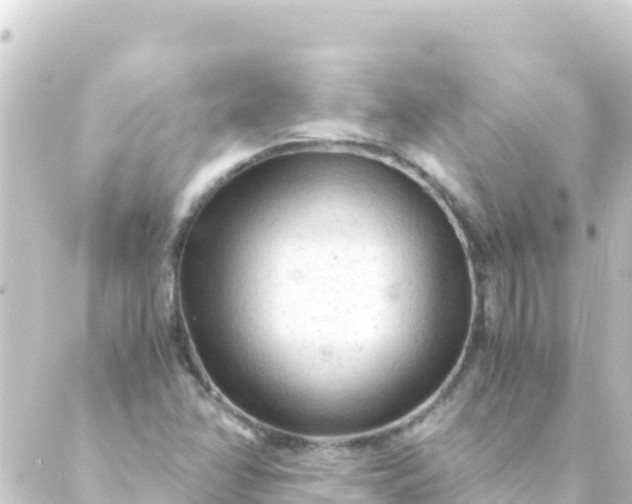 X0000088911358200706221919