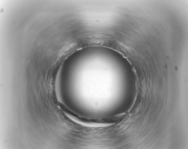X0000088911394200706221918