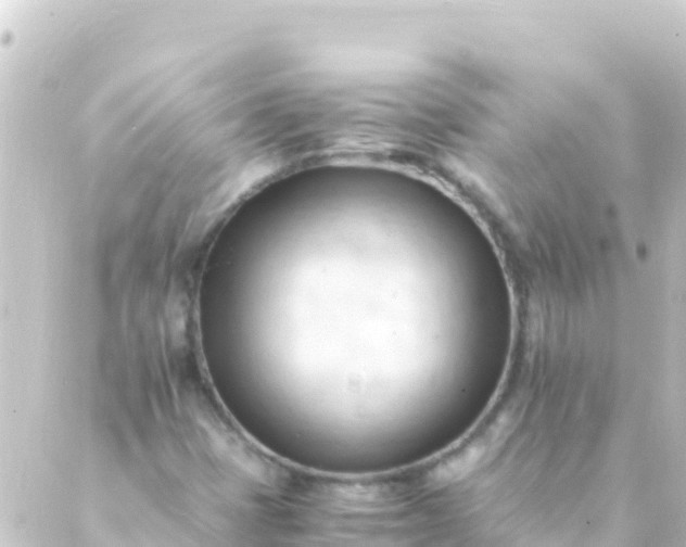 X0000088911401200706221918