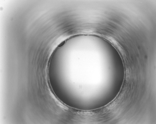 X0000088911432200706221918