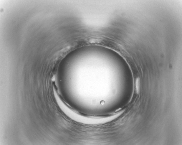 X0000088911443200706221918
