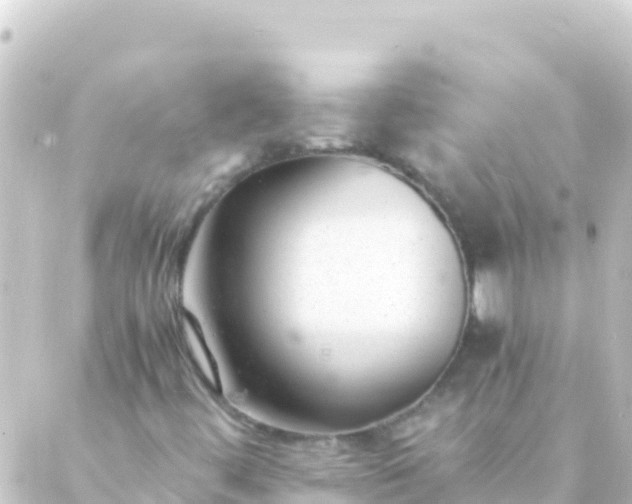 X0000088911444200706221918