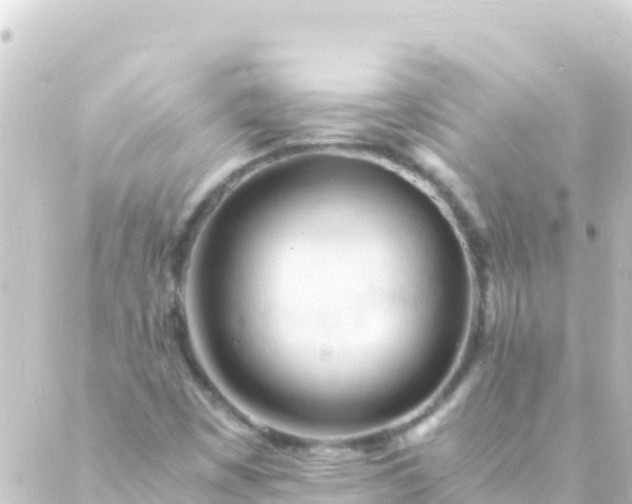 X0000088911449200706221917