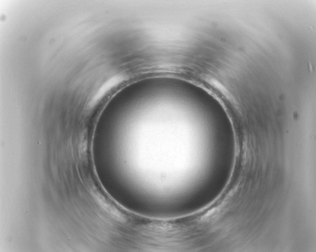 X0000088911450200706221917