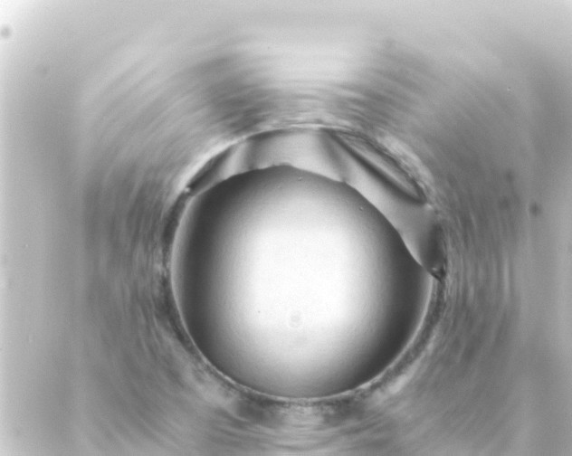 X0000088911457200706221917