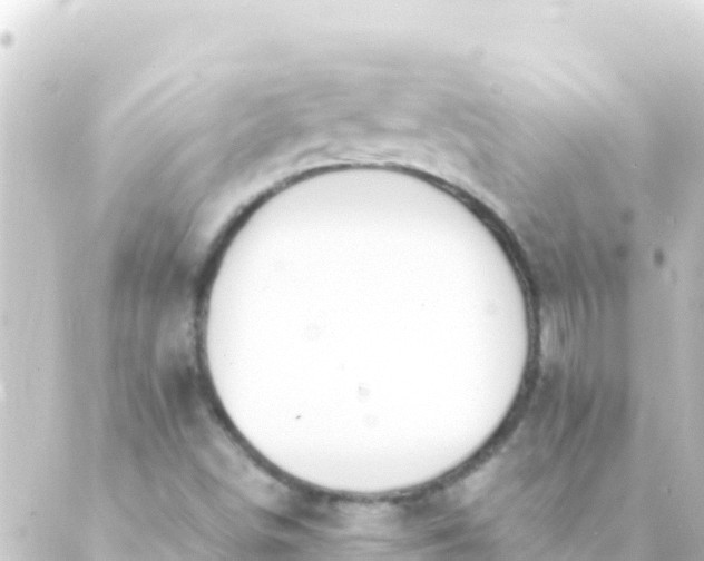 X0000088911498200706221916