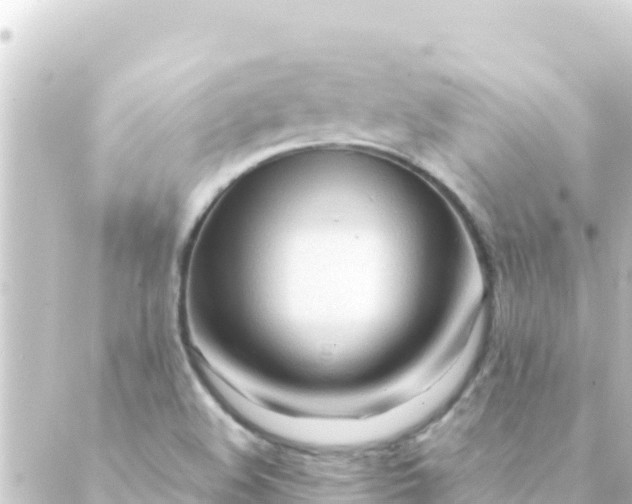 X0000088911508200706221916