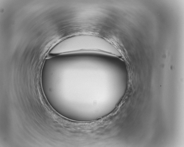 X0000088910001200706291541