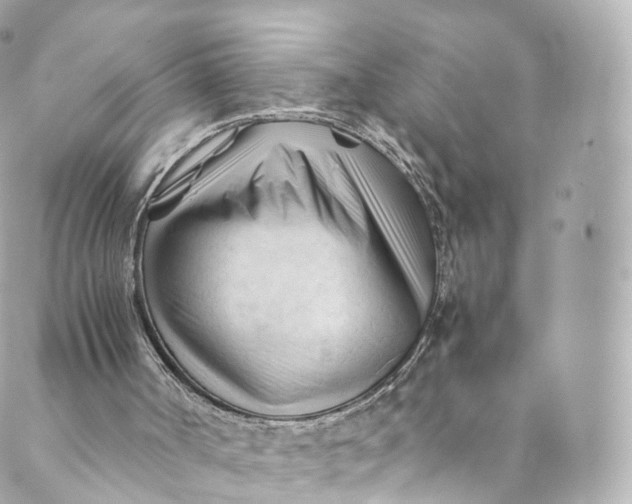 X0000088910002200706291541