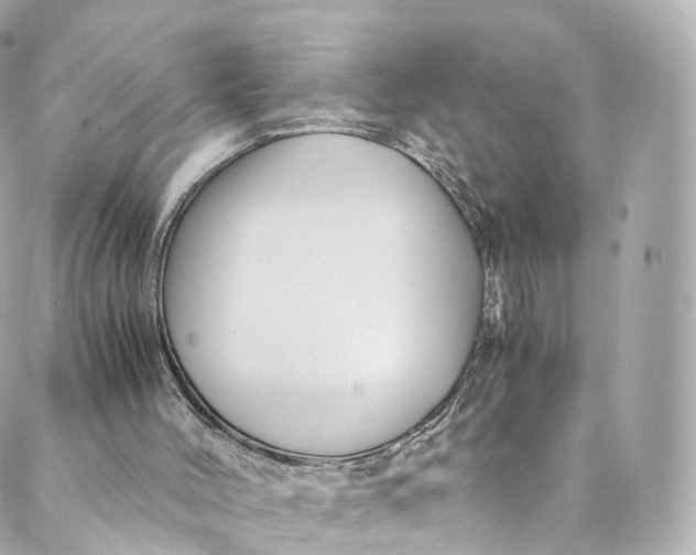 X0000088910004200706291541