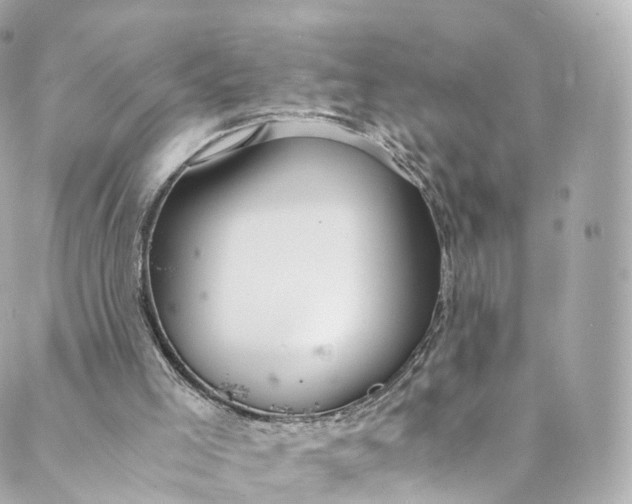 X0000088910005200706291541