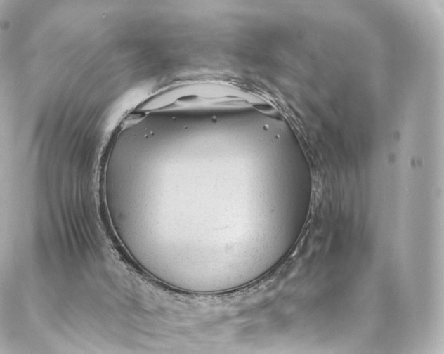 X0000088910006200706291541