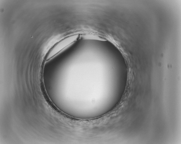 X0000088910007200706291541