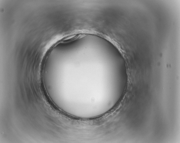 X0000088910008200706291541