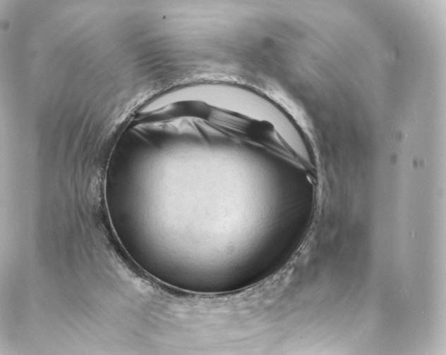 X0000088910009200706291541