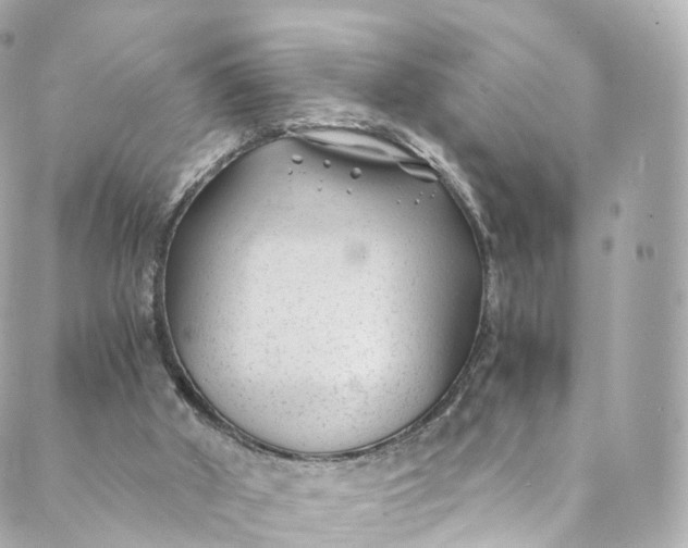 X0000088910010200706291541