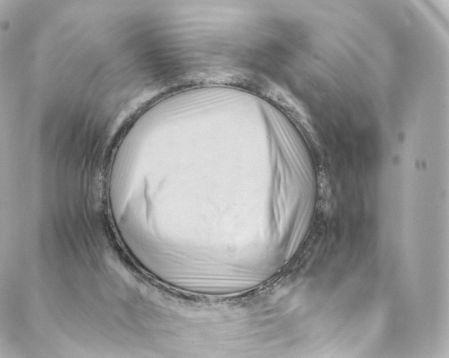 X0000088910012200706291541