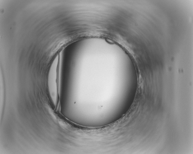 X0000088910013200706291541