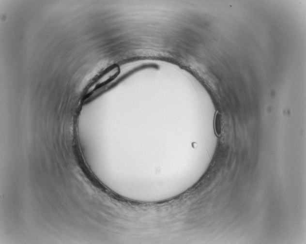 X0000088910015200706291541