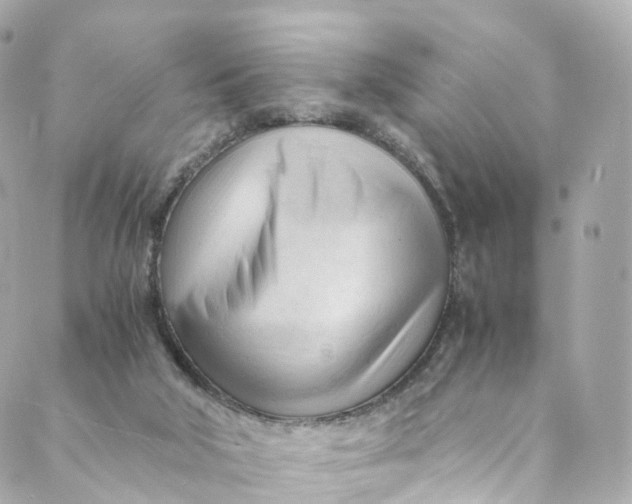 X0000088910018200706291541