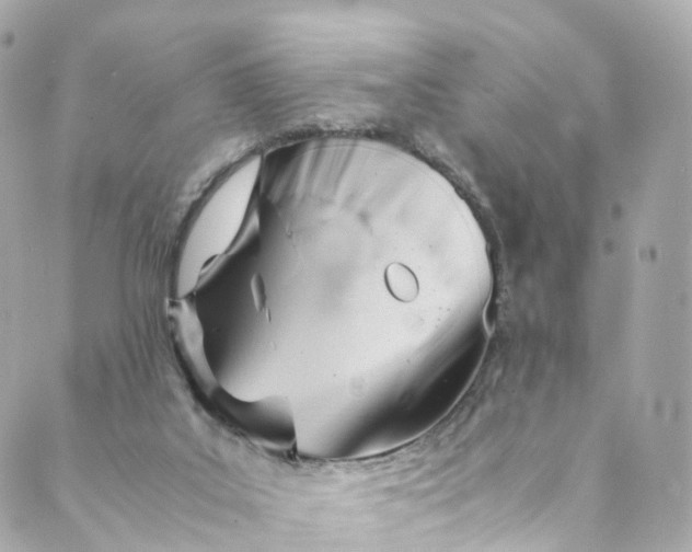 X0000088910019200706291541