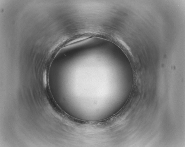 X0000088910020200706291541