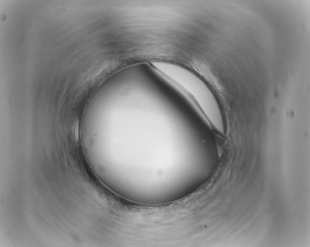 X0000088910021200706291541