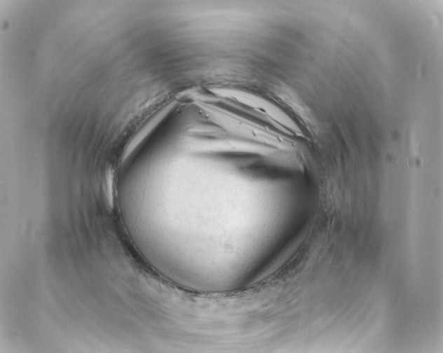 X0000088910022200706291541