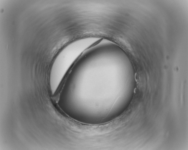 X0000088910023200706291541