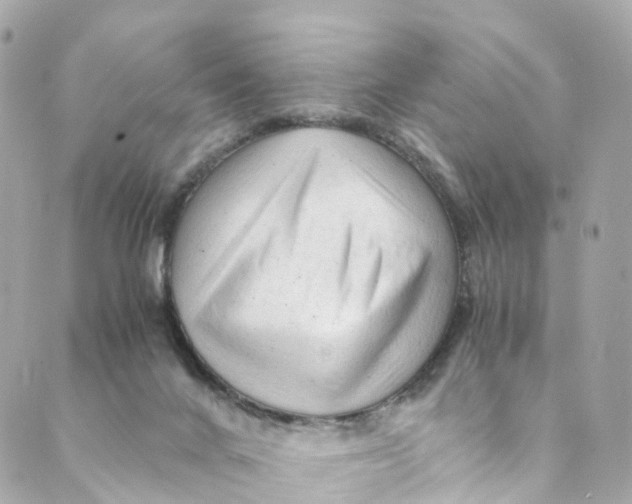 X0000088910024200706291541