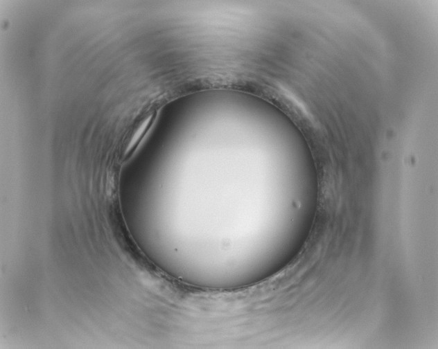 X0000088910025200706291541