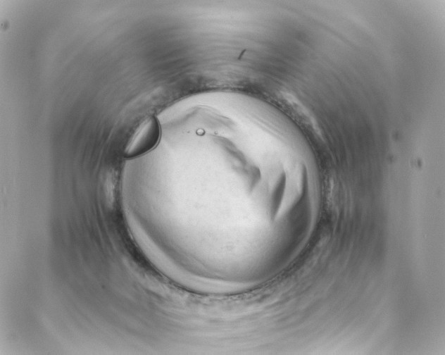 X0000088910026200706291541