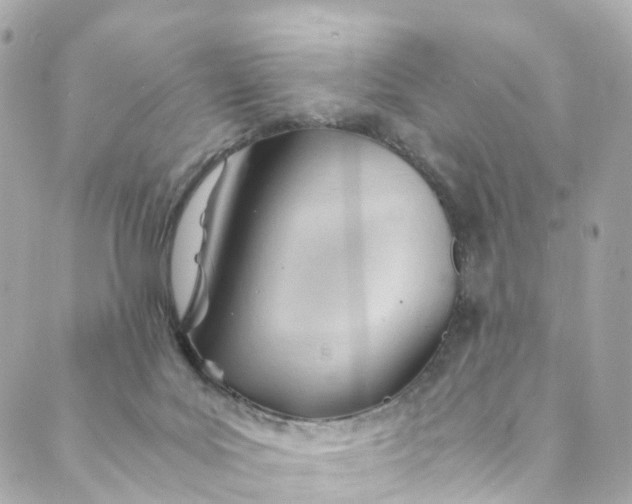 X0000088910027200706291541