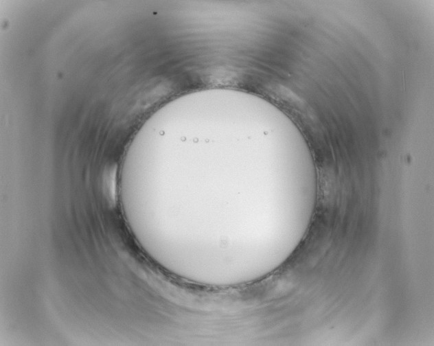 X0000088910028200706291540