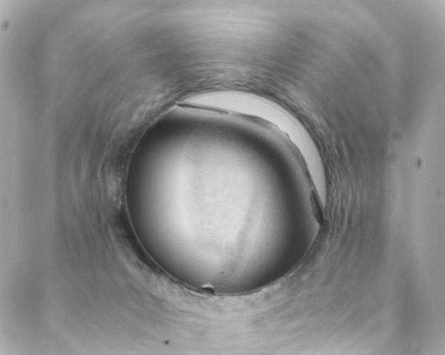 X0000088910031200706291540