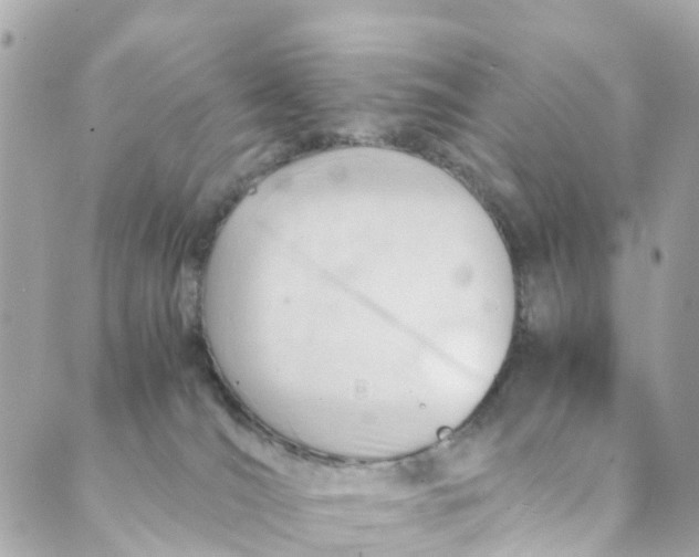 X0000088910036200706291540