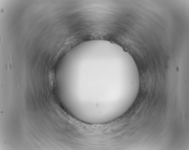 X0000088910038200706291540