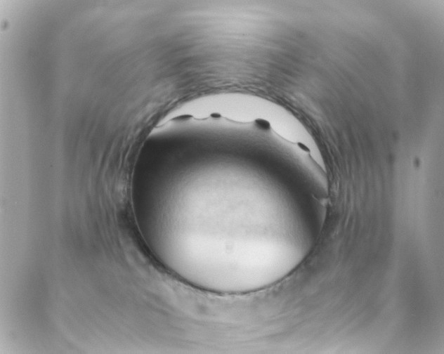 X0000088910039200706291540