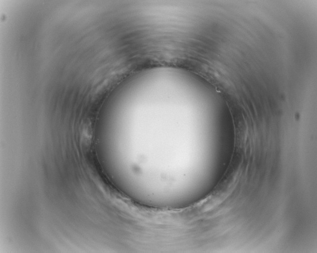 X0000088910040200706291540