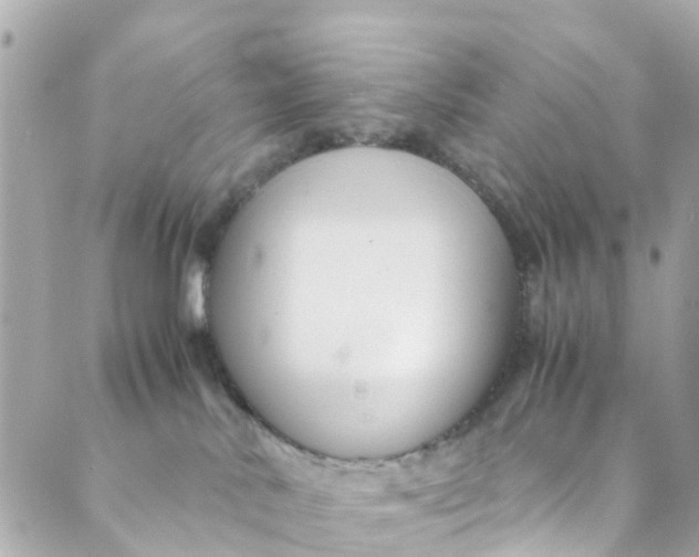 X0000088910042200706291540