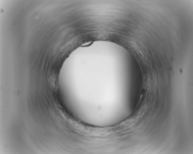 X0000088910044200706291540