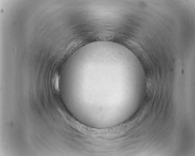 X0000088910046200706291540