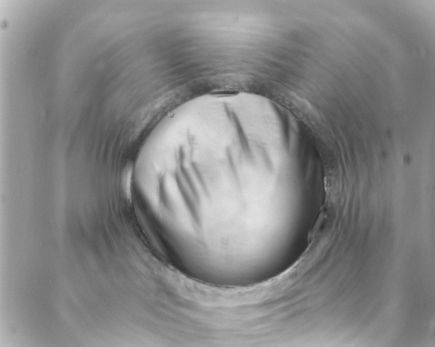 X0000088910047200706291540