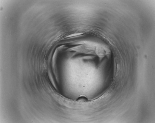 X0000088910048200706291540