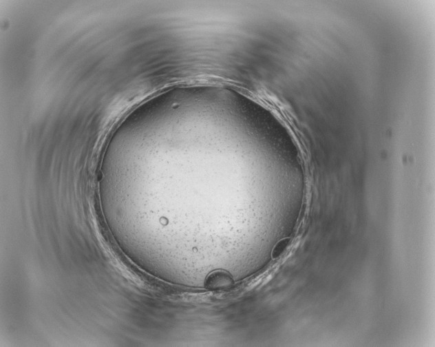 X0000088910049200706291539