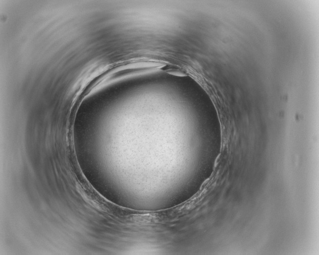 X0000088910050200706291539