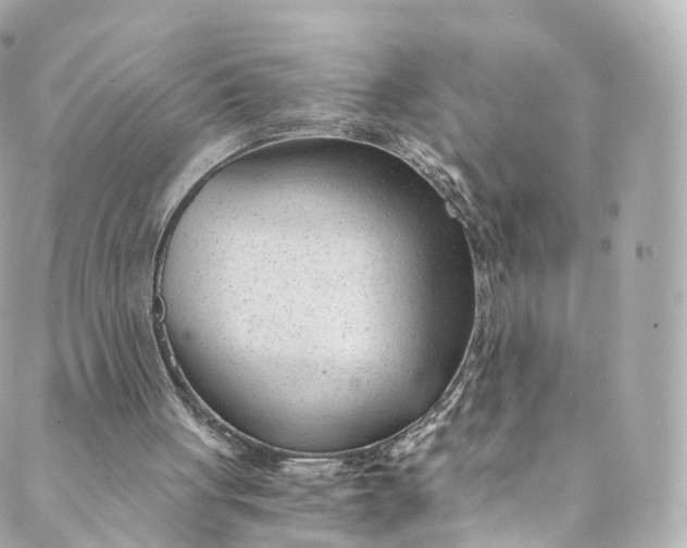 X0000088910051200706291539