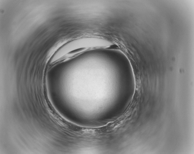 X0000088910052200706291539